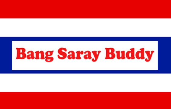 Bang saray Buddy